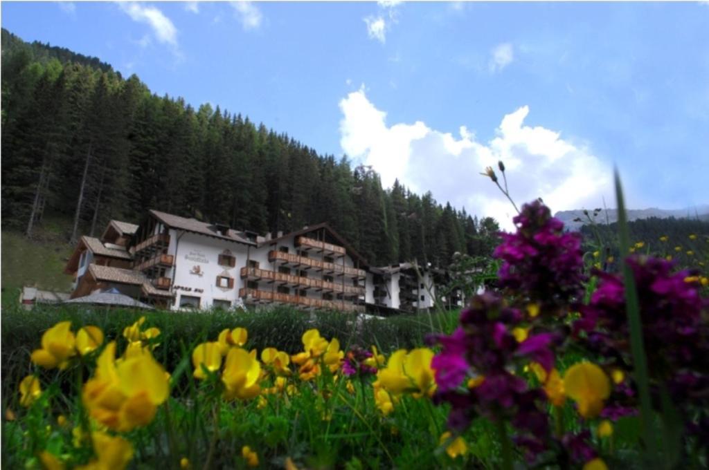 Hotel Scoiattolo Tesero Exterior foto